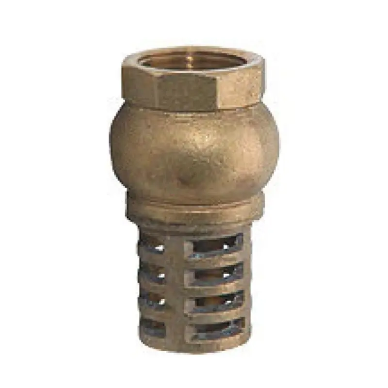VALVULA PICHANCHA C/CANASTILLA BRONCE 19MM P/A MARCA DICA